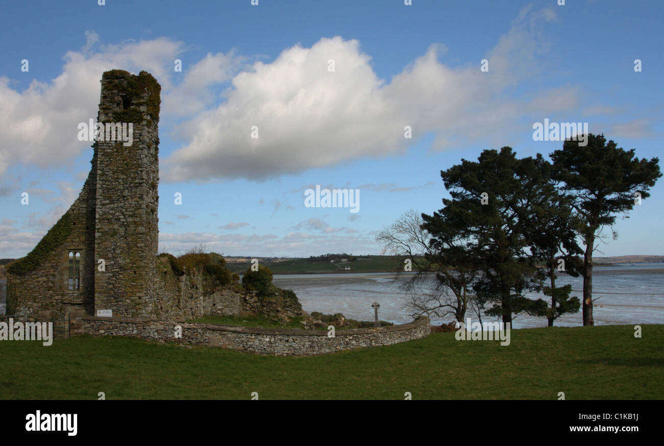 Ruines de l'abbaye de l'Irlande de Timoleague Banque D'Images