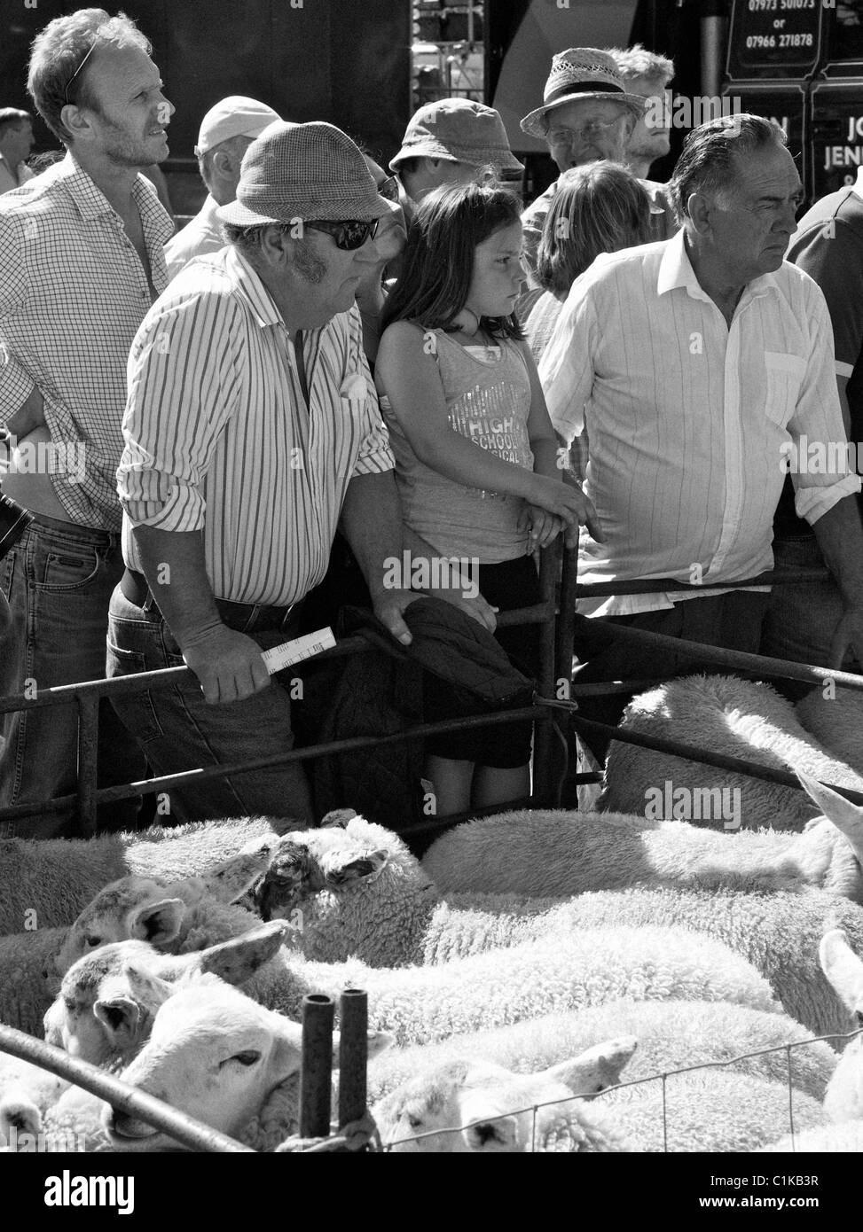 Les amateurs d'enchères à Priddy moutons foire sur le Mendip Hills Banque D'Images
