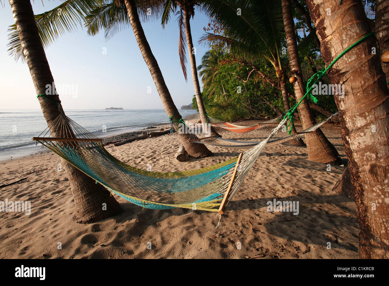 Des hamacs sous les palmiers sur une plage tropicale, Montezuma, Péninsule de Nicoya, Costa Rica Banque D'Images