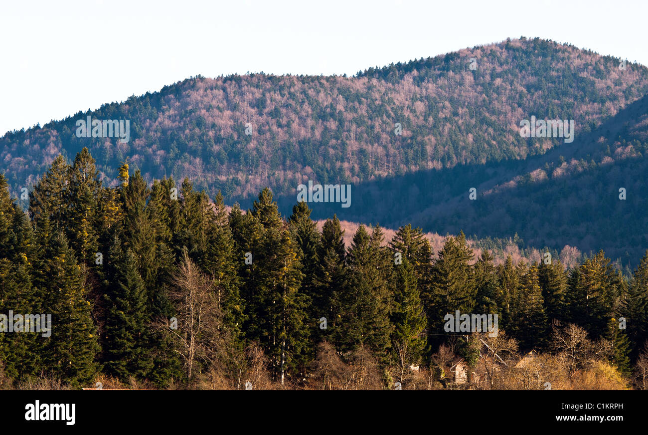 Le lac de Cerknica, Sloveni Banque D'Images