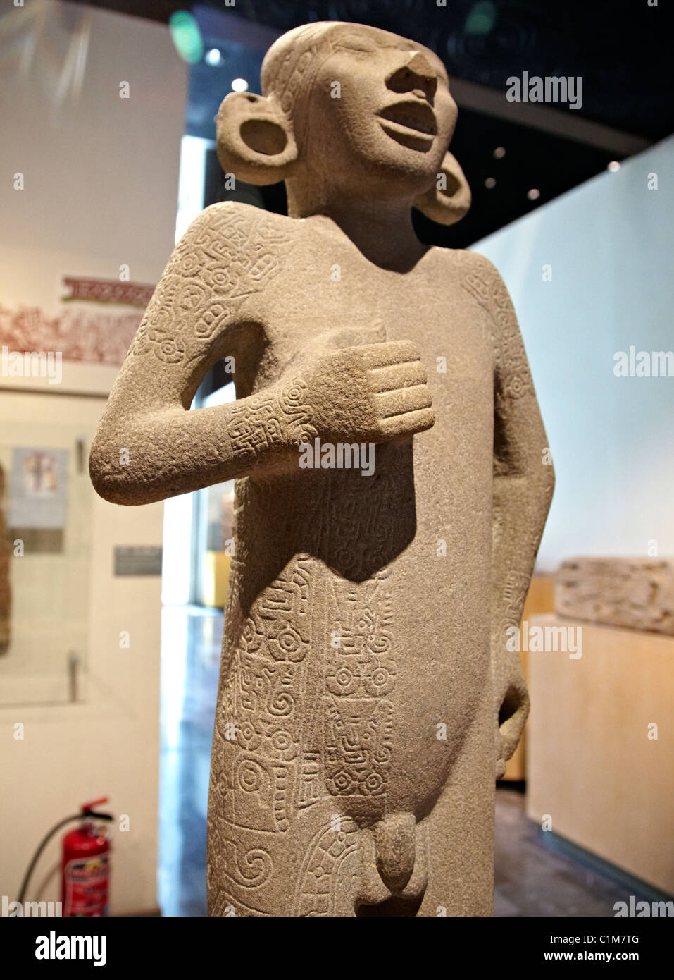 Statue de pierre olmèque Le Musée anthropologique Mexico Mexique Banque D'Images