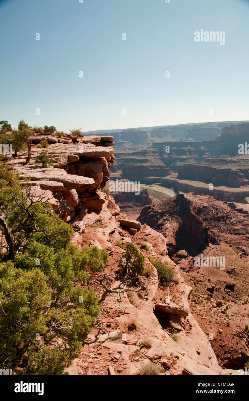 Vues des Montagnes La Sal,Plateau du Colorado,Rivière, 6000 pieds au-dessus du niveau de la mer, lacs de sel,géologique,Dead Horse State Park, Utah, USA Banque D'Images