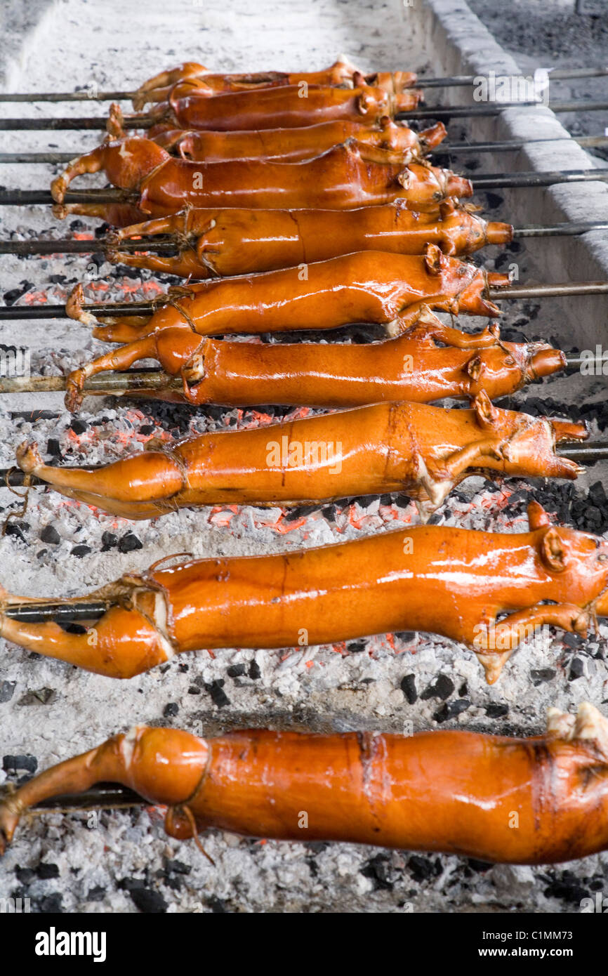 La torréfaction des porcs commerciaux. Porc rôti est un plat philippin populaire souvent servi lors d'occasions spéciales. Banque D'Images