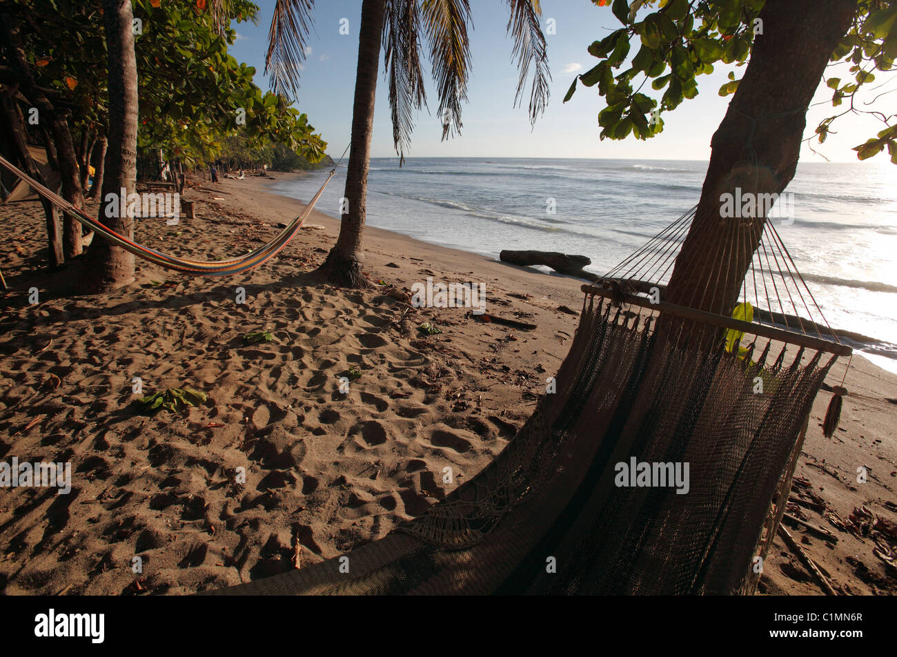 Des hamacs sous les palmiers, Playa Avellanas, Péninsule de Nicoya, Costa Rica Banque D'Images