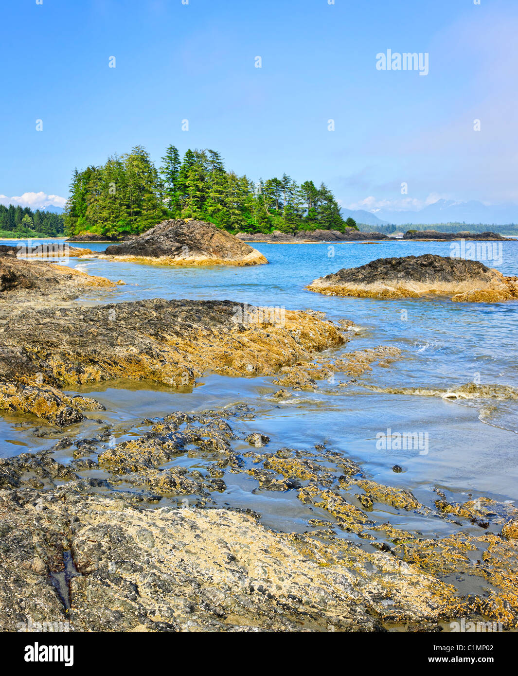 Rocky ocean shore dans le parc national Pacific Rim, Canada Banque D'Images