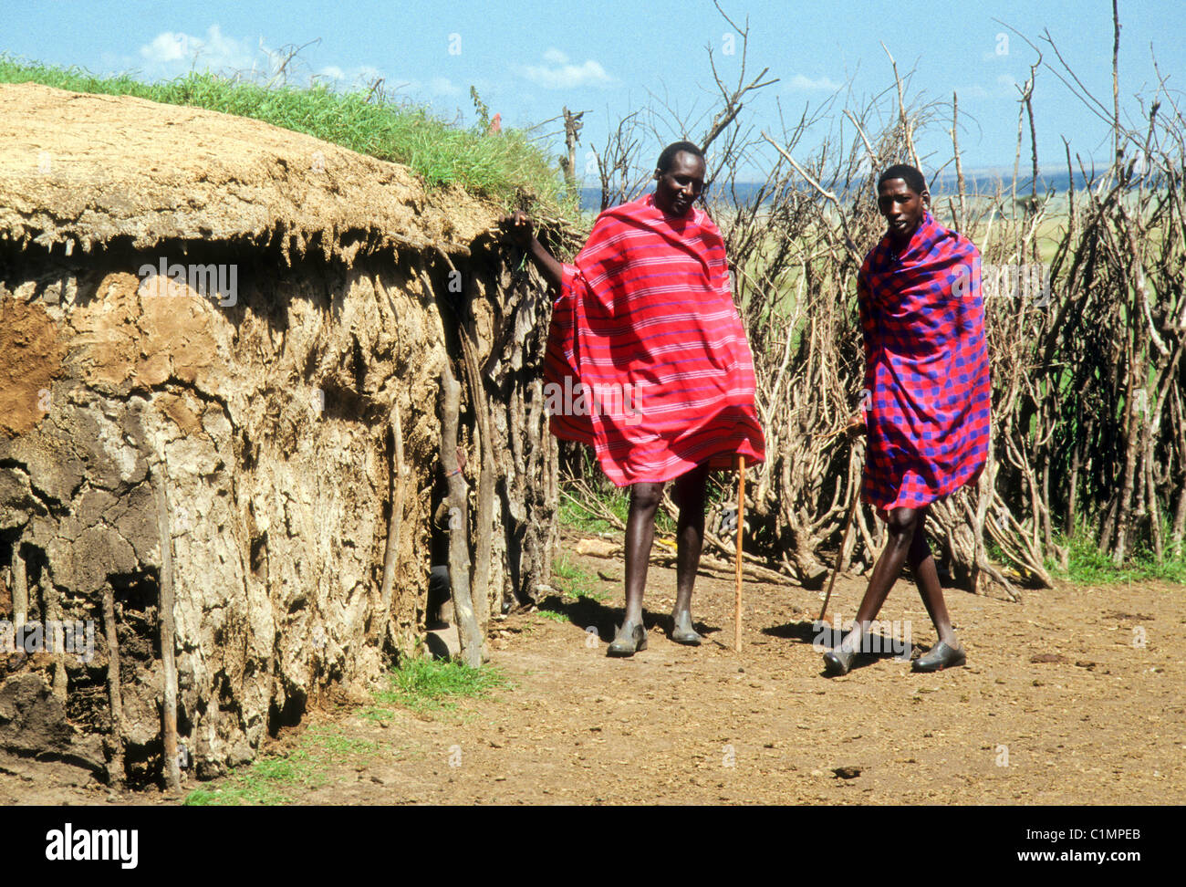 Morans Maasai et dung-covered house, Masai Mara, Kenya Banque D'Images