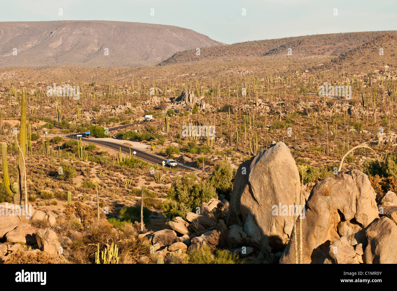 Le Mexique l'autoroute 1 qui traverse le désert de Sonora, Basse Californie, Mexique Banque D'Images