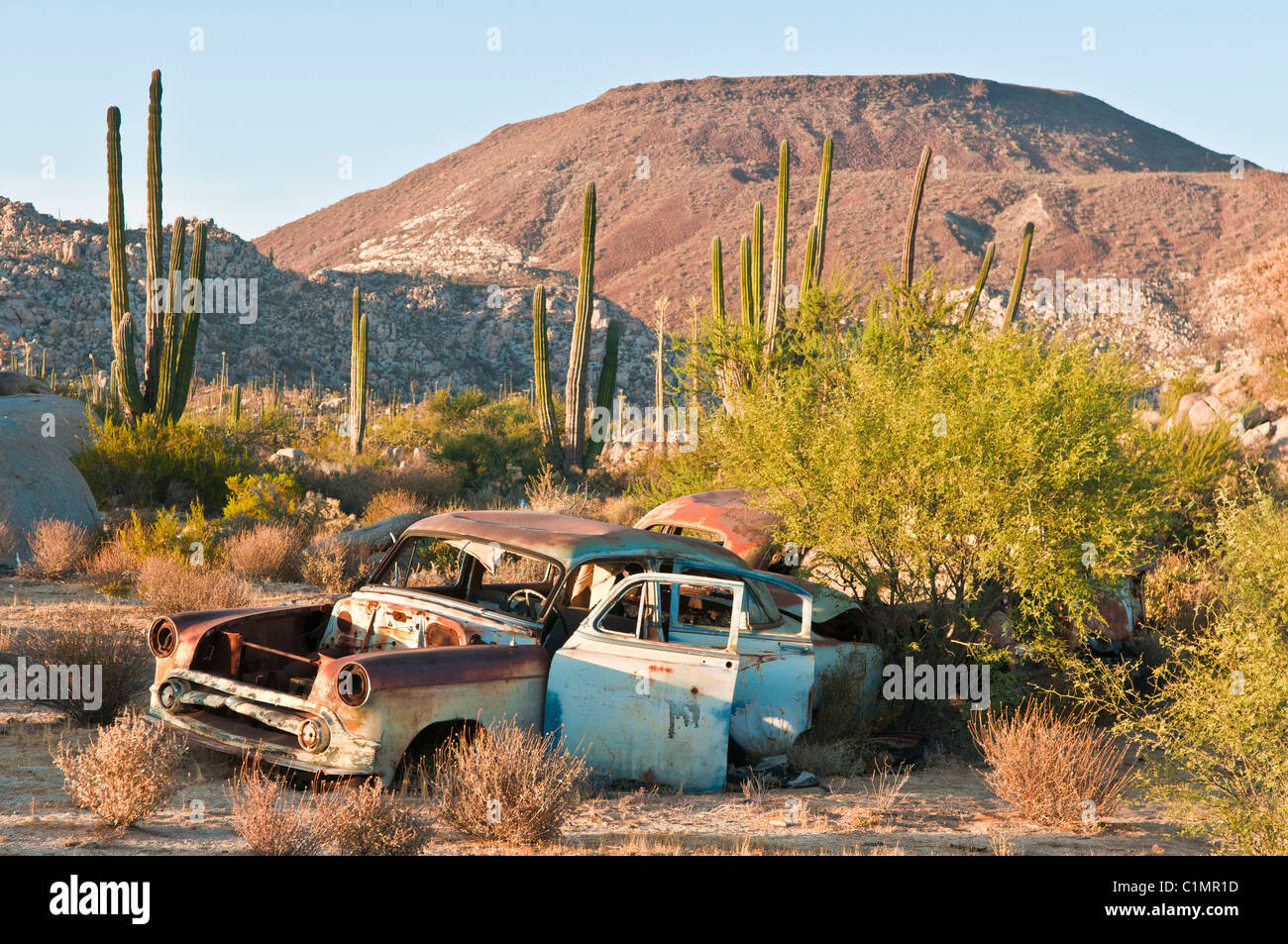 Voiture rouillée dans le désert de Sonora, Basse Californie, Mexique Banque D'Images