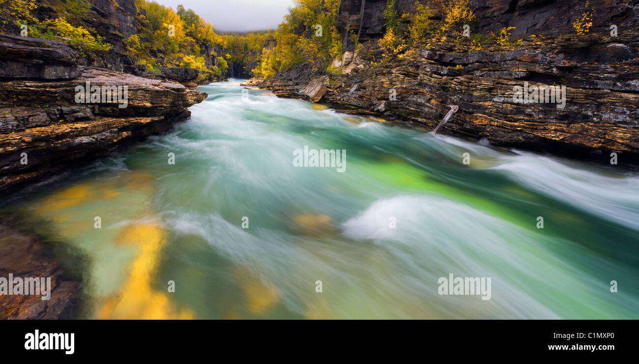 Abisko Canyon, Laponie - Suède. Banque D'Images
