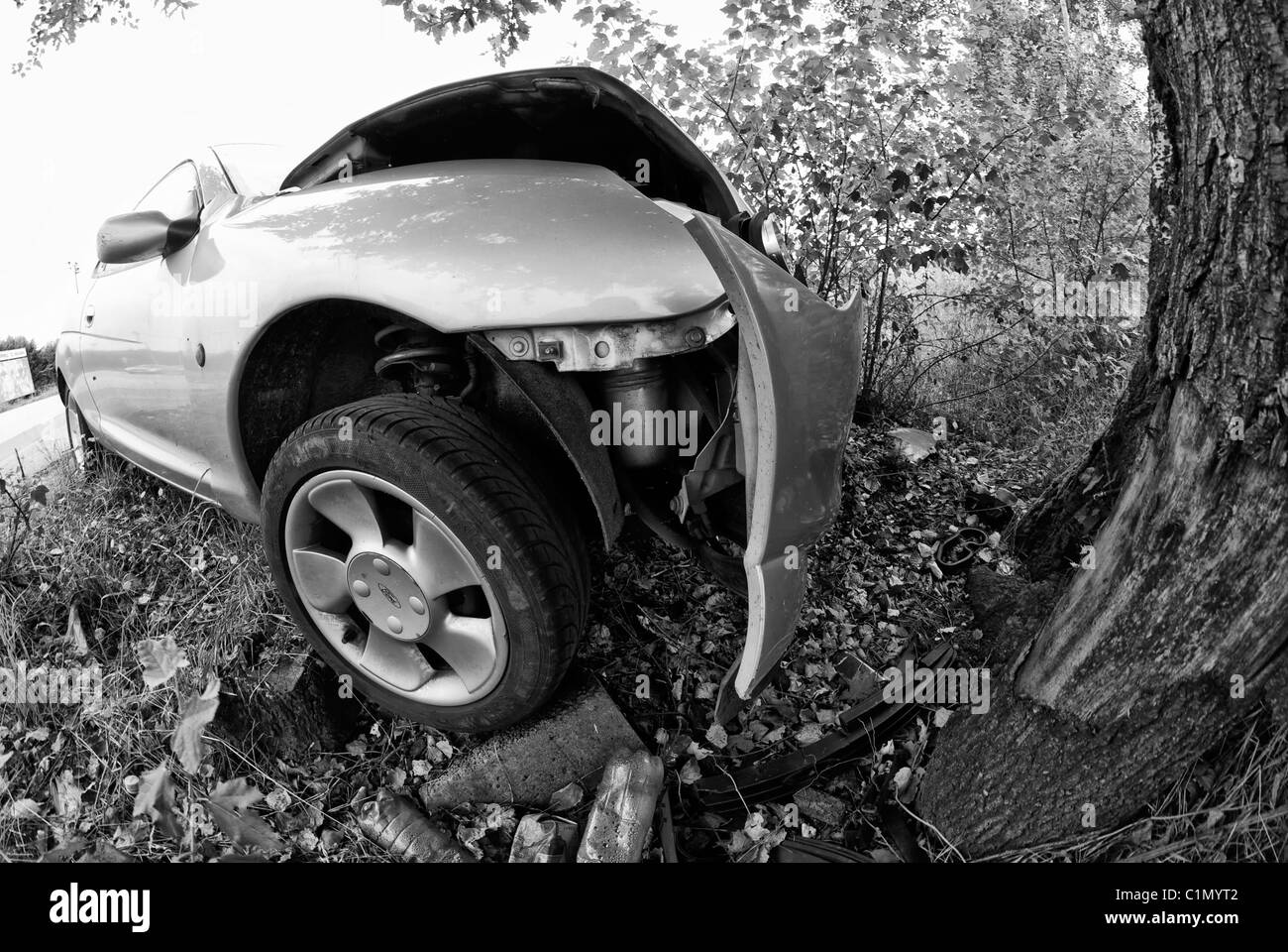 Accident de voiture contre un arbre, Italie Banque D'Images