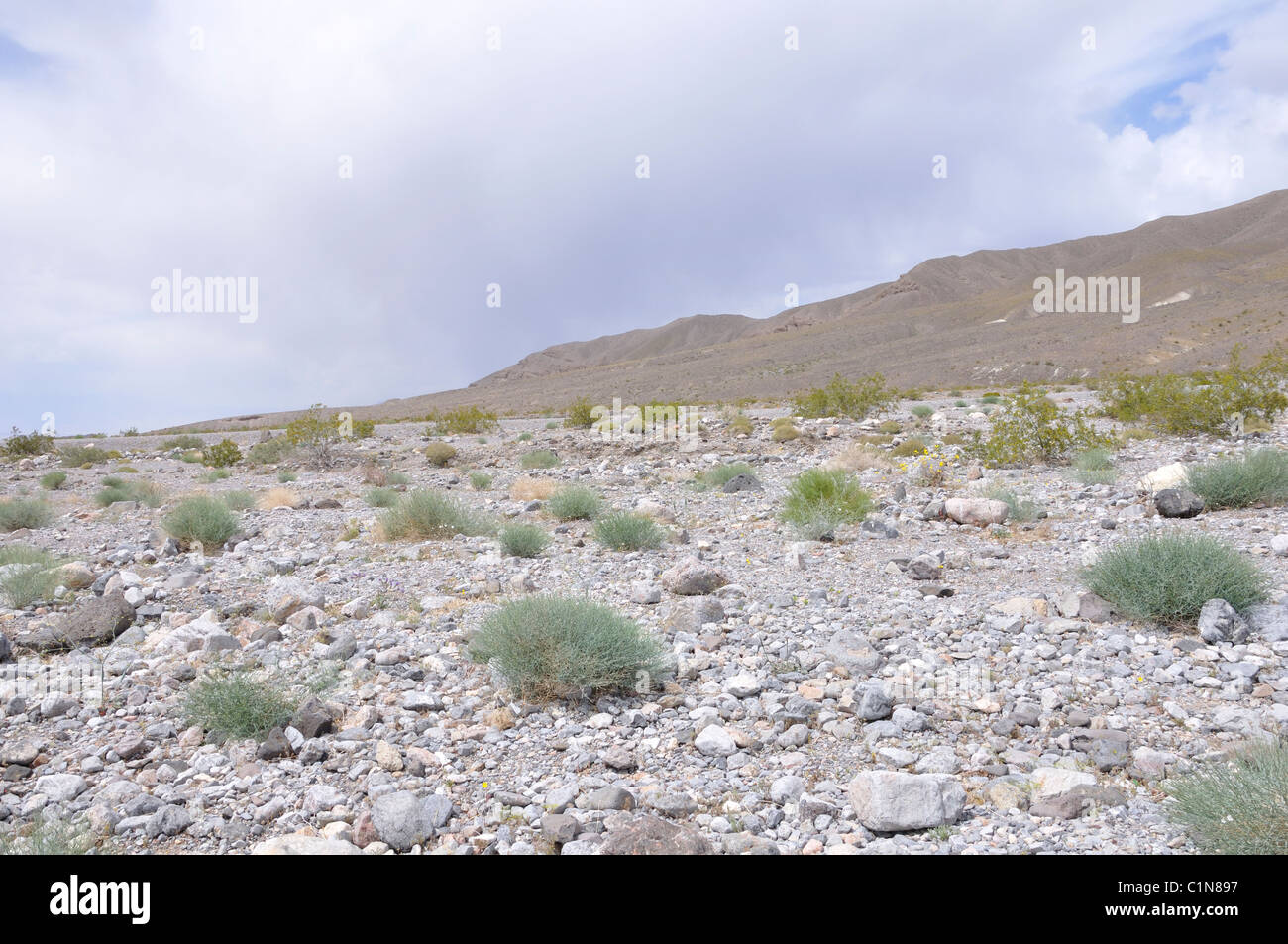 Death Valley National Park, California, USA Banque D'Images