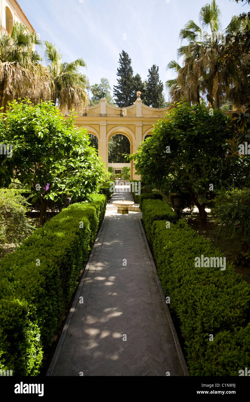 Chemin de jardin / chemins et dans les jardins clos de haies de l'Alcazar de Séville / Séville. Séville, Espagne. Banque D'Images