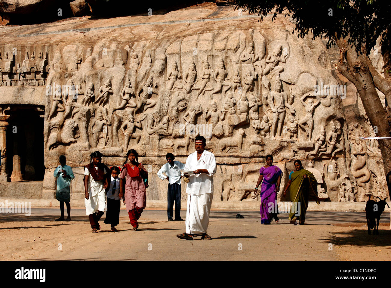 L'Inde, le Tamil Nadu, Mahabalipuram, la pénitence d'Arjuna, granit sculpté relief de la desent du Gange Banque D'Images