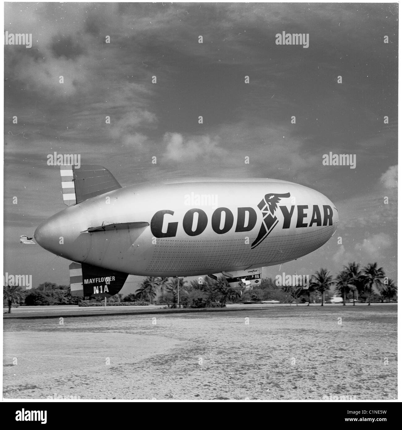 L'Amérique, années 1950. Vue d'une promotion pneus Goodyear hélium dirigeable amarré dans la zone herbeuse près de Miami, en Floride. Banque D'Images