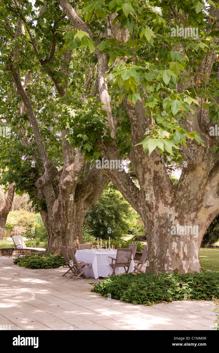 Mas provençal rénové, meublées avec des antiquités françaises Banque D'Images