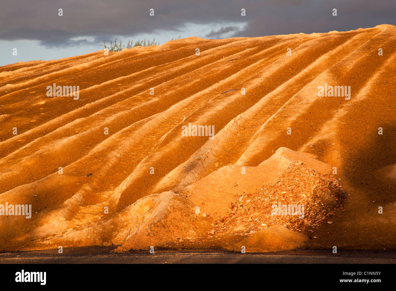 Pile de sciure et de copeaux de bois , utilisée comme combustible dans la centrale à combustion de tourbe , Finlande Banque D'Images