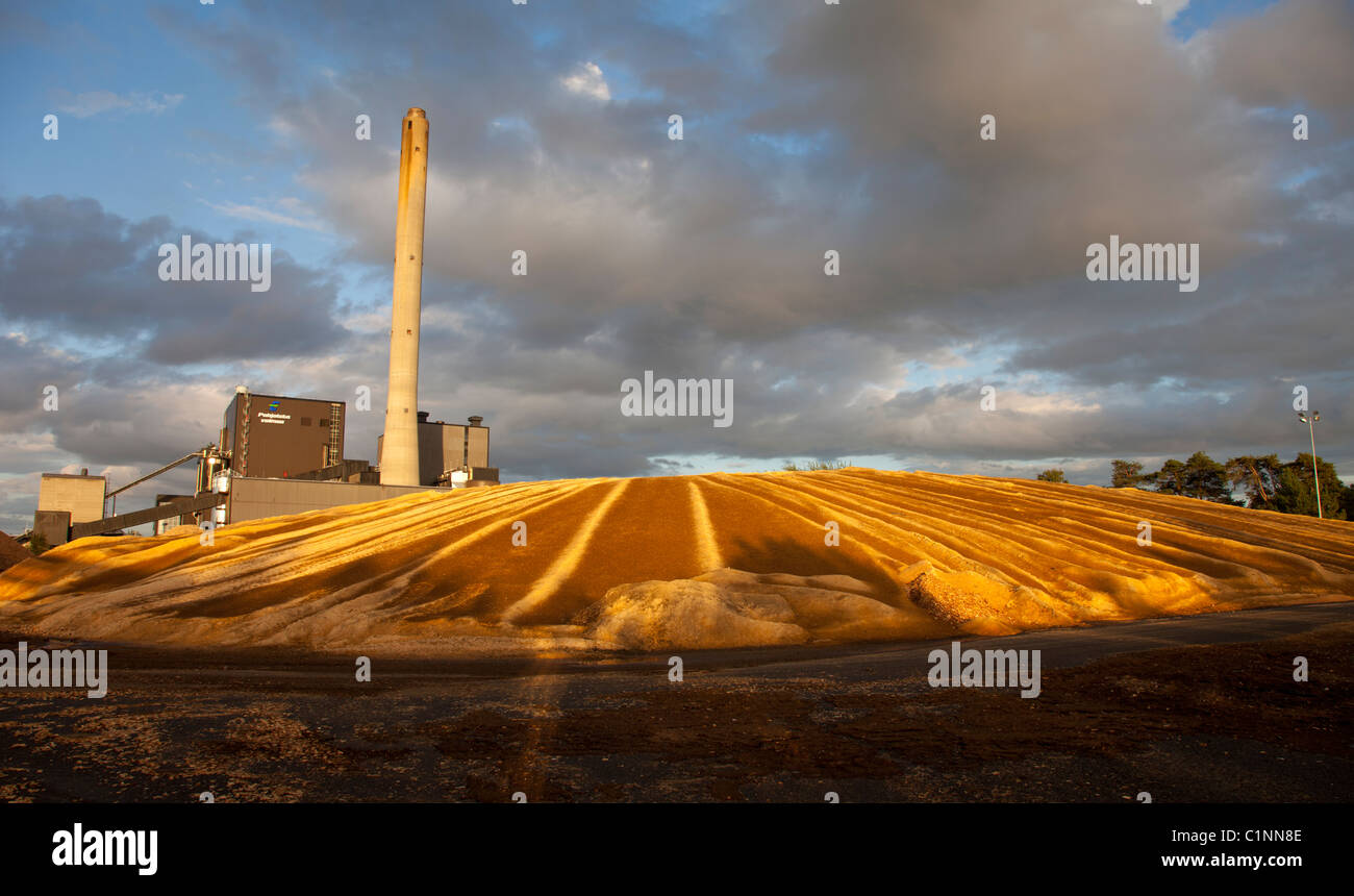 Centrale à combustion de tourbe produisant de l'électricité et de la chaleur . Utilise la tourbe , la sciure et les copeaux de bois comme combustible primaire. Inventaire de sciure à l'avant , Finlande Banque D'Images