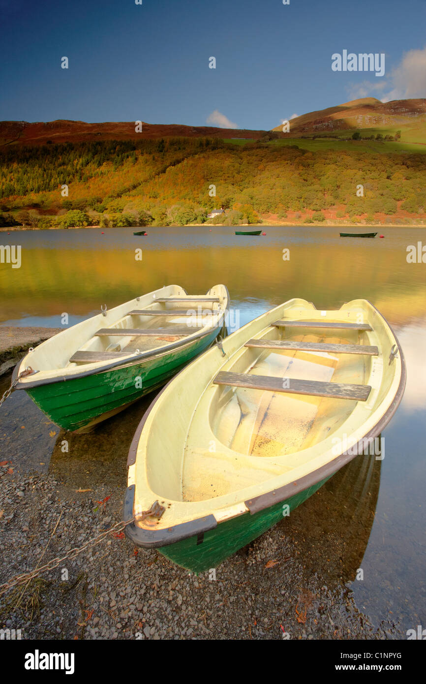 Bateaux de pêche sur Tal y Llyn Lake dans la région de Snowdonia, Pays de Galles UK Banque D'Images