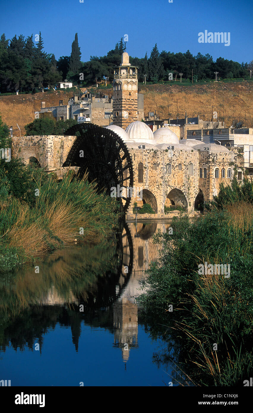 La Syrie, Hama, noria (ancienne machine hydraulique) sur le fleuve Oronte Banque D'Images