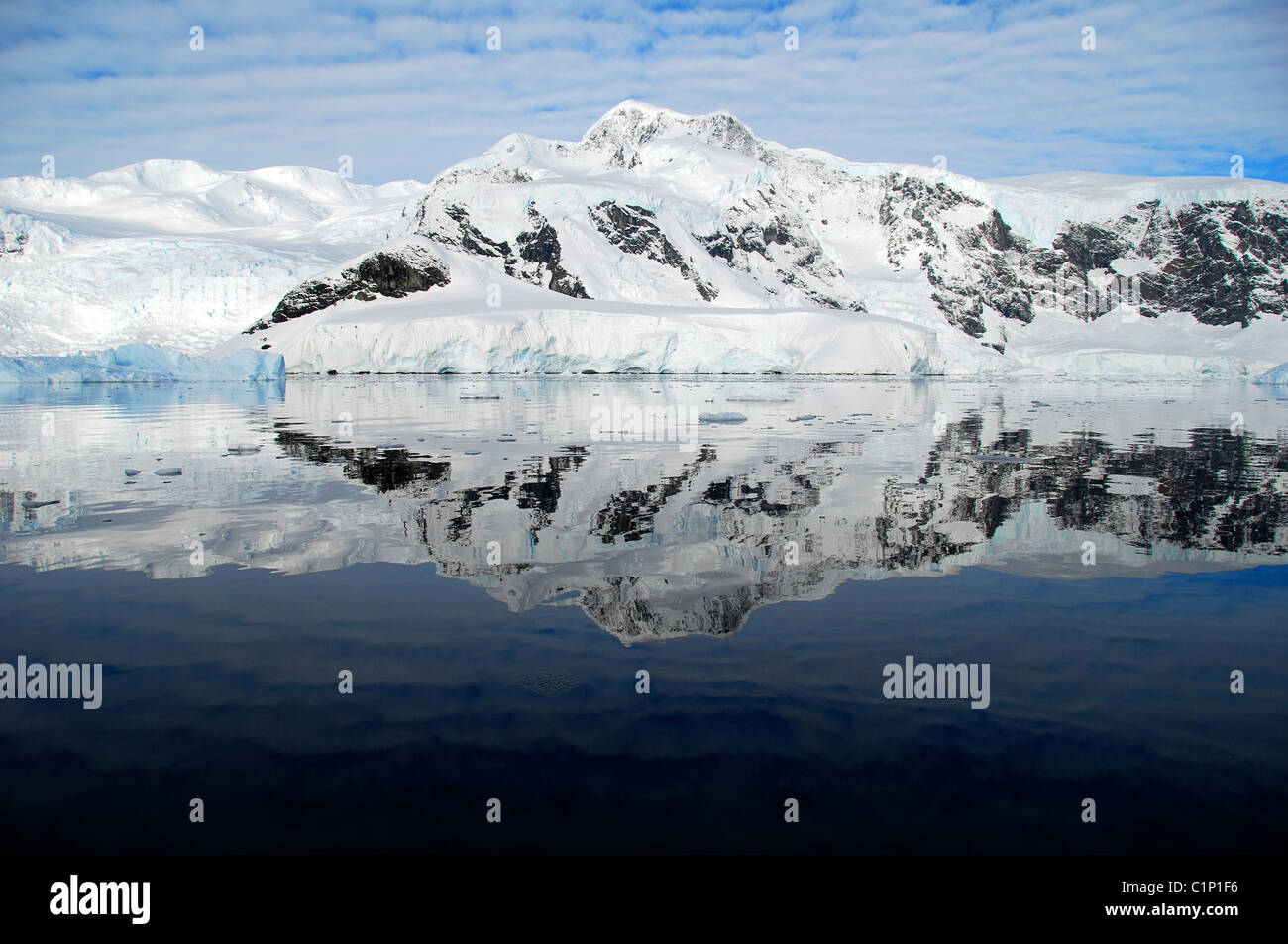 Reflet parfait de l'Antarctique à l'océan Banque D'Images