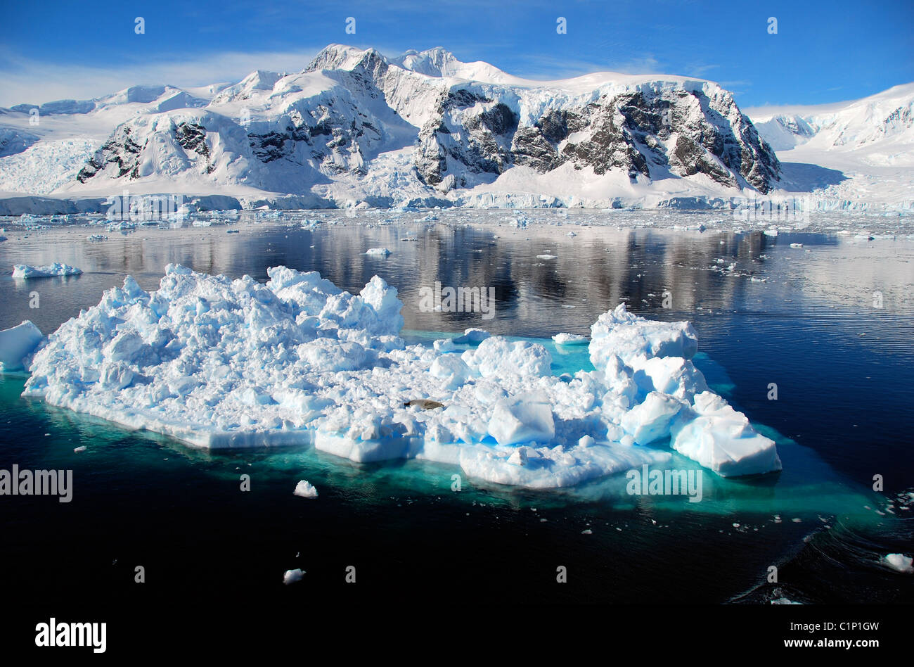 Iceberg dans le paysage de l'antarctique Banque D'Images