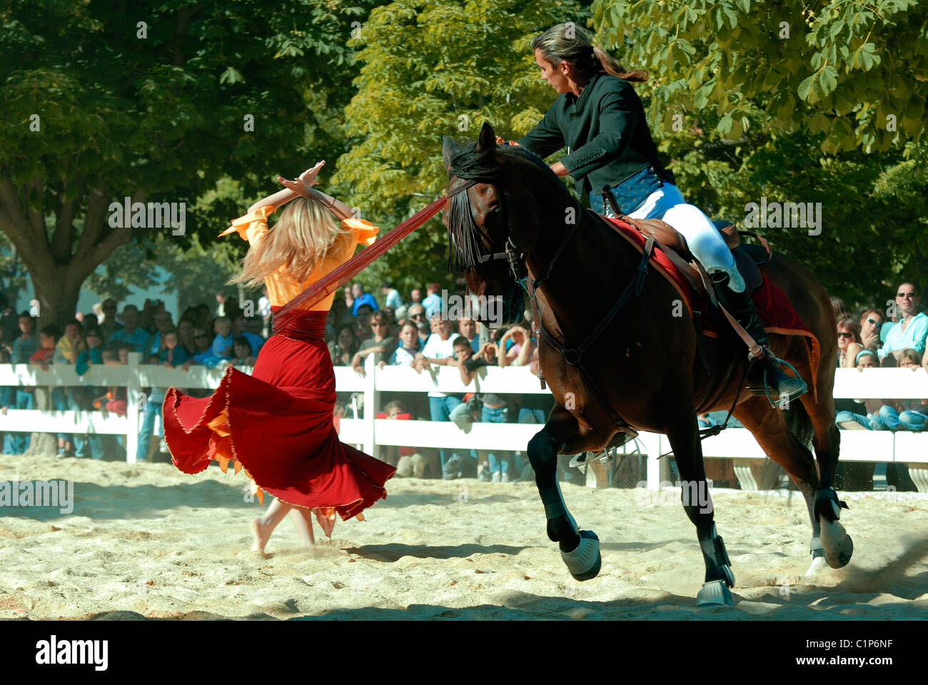 La France, Gard, Nîmes, daily horse show dans les jardins de la Fontaine au cours de la Feria Banque D'Images