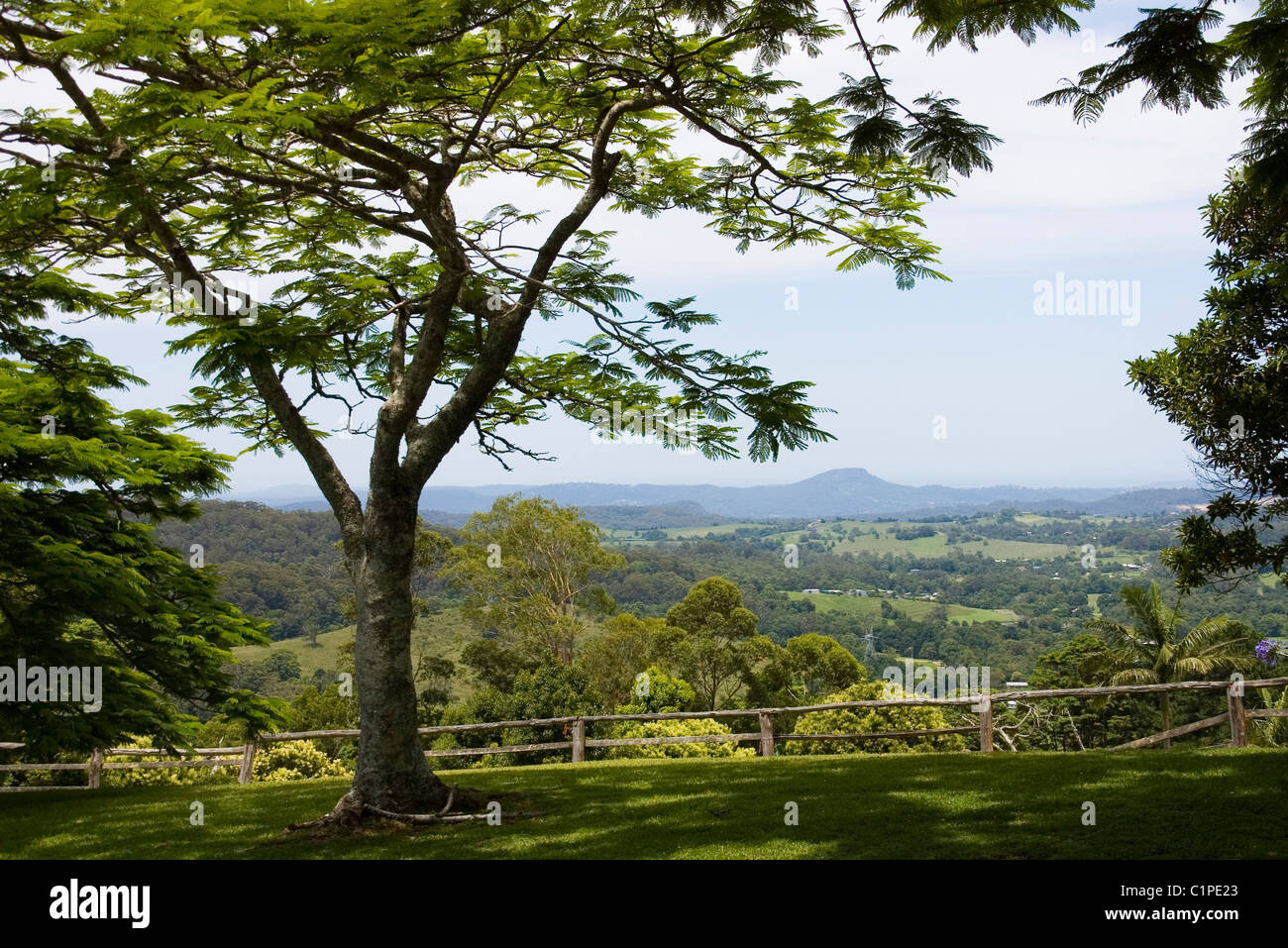 L'Australie, l'arbre près des balustrades rouillées avec view of landscape Banque D'Images