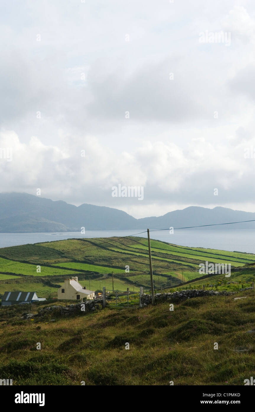 République d'Irlande, dans le comté de Cork, Péninsule de Beara, champs de pointe Banque D'Images