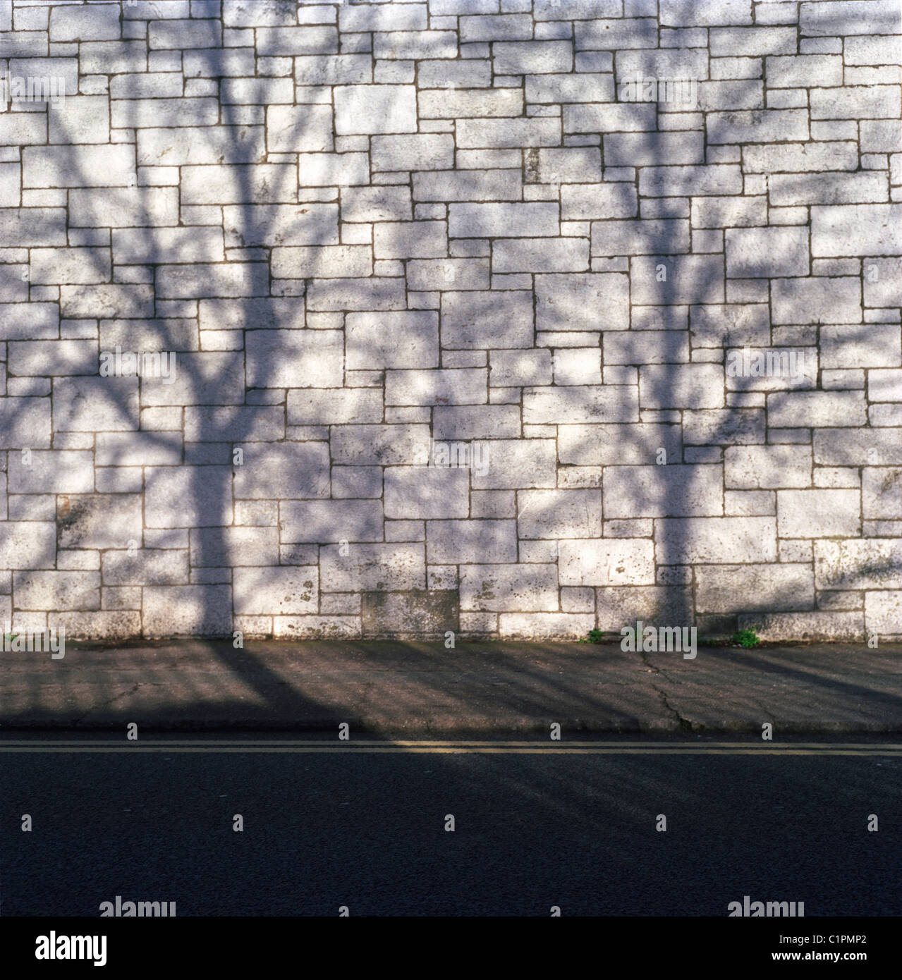République d'Irlande, dans le comté de Cork, les ombres des arbres sur les murs en pierre Banque D'Images