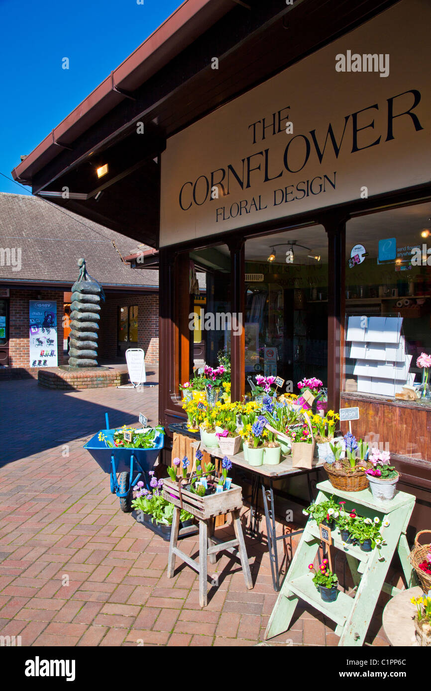 Fleuriste dans une zone piétonne et commerçante Cornmarket, precint provincial en français ville de Salisbury dans le Wiltshire, Angleterre, Royaume-Uni. Banque D'Images