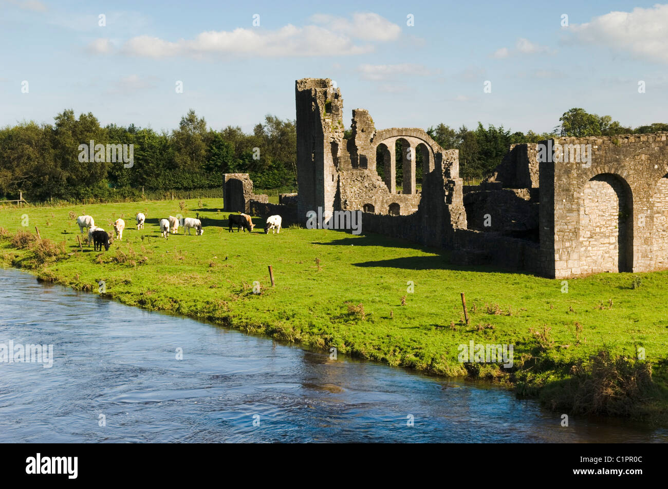 République d'Irlande, vallée de la Boyne, Prieuré de Saint Jean le Baptiste Banque D'Images