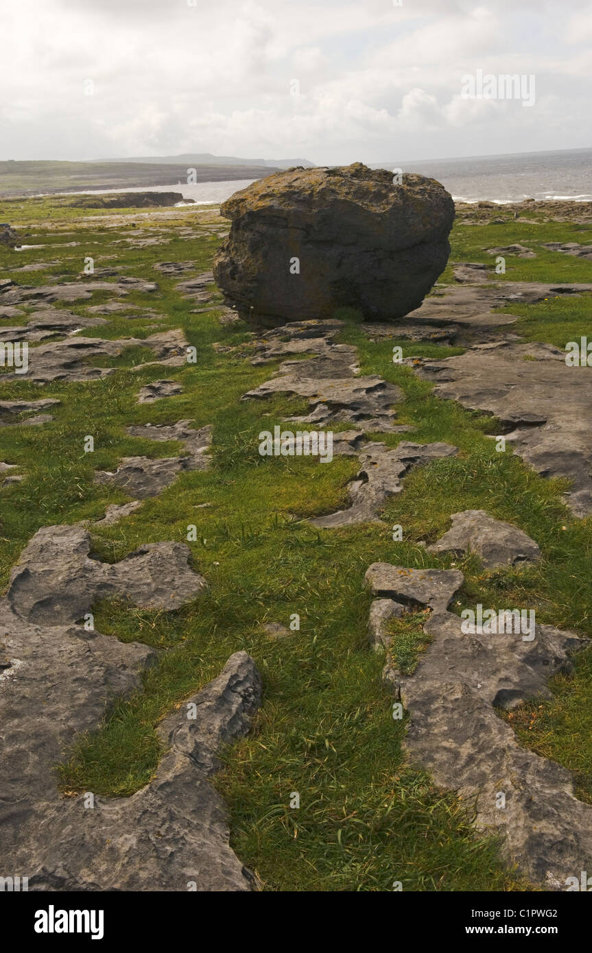 République d'Irlande, le Burren, erratique glaciaire boulder près de côte Banque D'Images