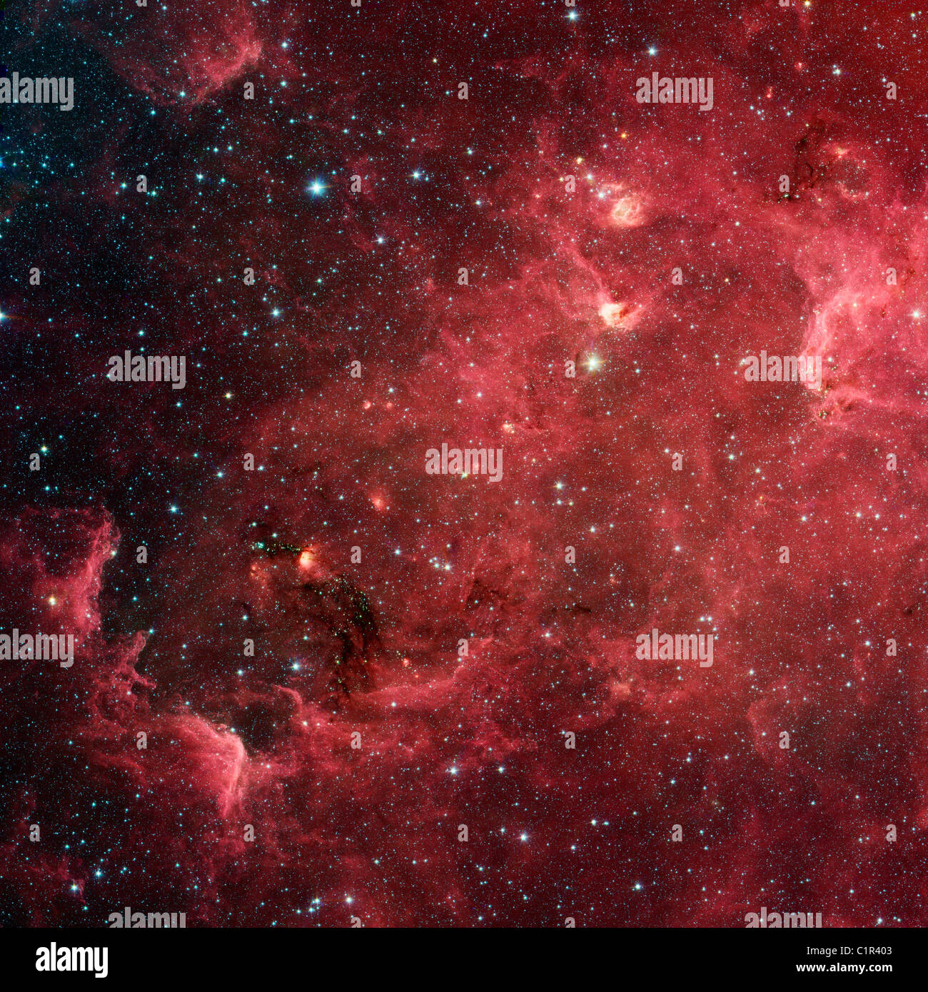 Amérique du Nord l'étoile tourbillonnante. nébuleuse ressemble à l'Amérique du Nord, région de la nouvelle vue dans l'infrarouge du télescope spatial Spitzer de la NASA Banque D'Images