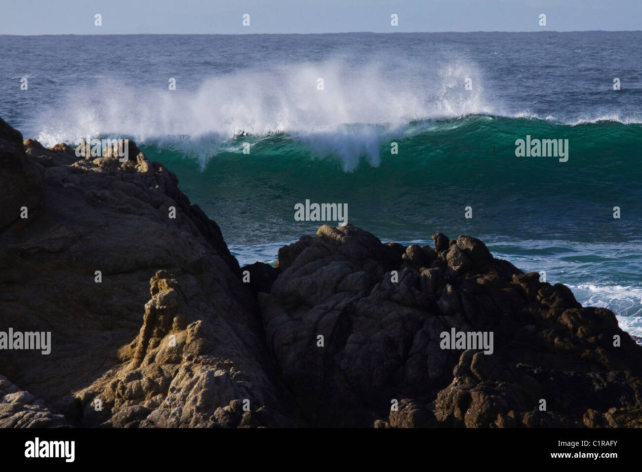 Gros plan du Pacific wave cresting derrière des rochers, la baie de Monterey, Californie, USA Banque D'Images