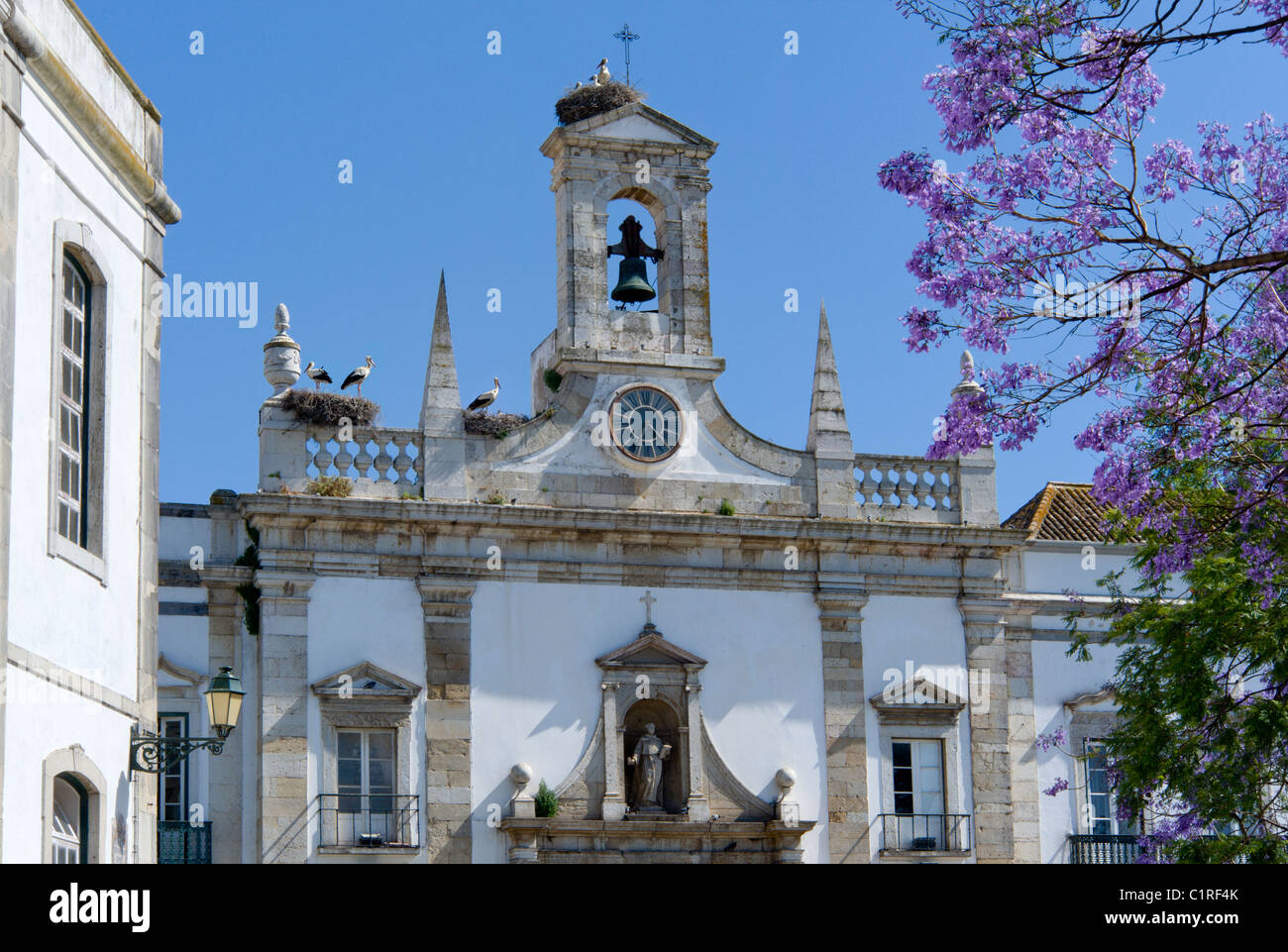 Les nids de cigognes sur l'Arco da Vila, la vieille ville, Faro, Algarve, Portugal Banque D'Images