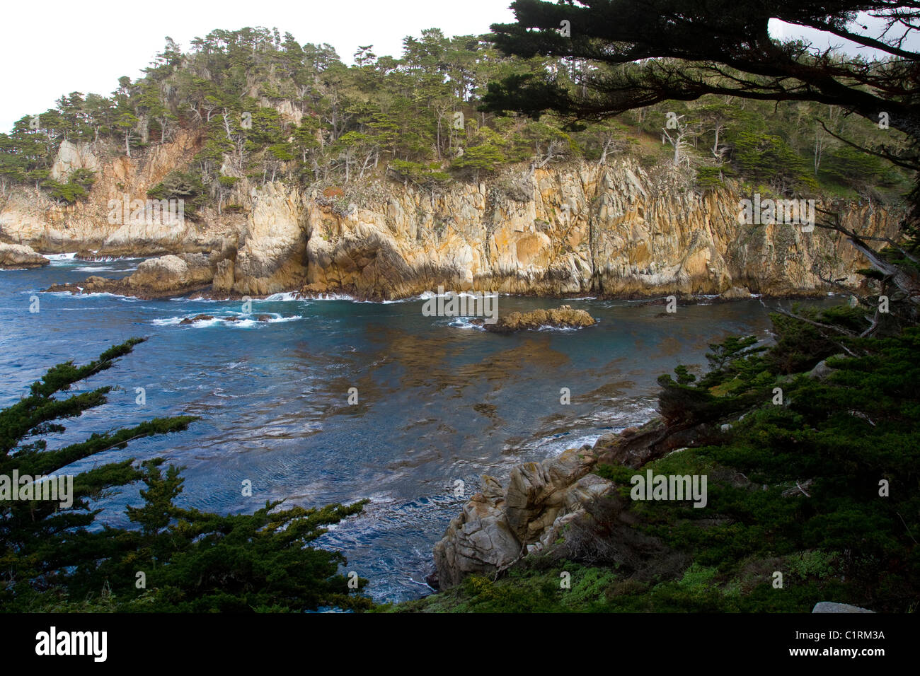 Voir à Point Lobos State Natural Réserver California USA Banque D'Images