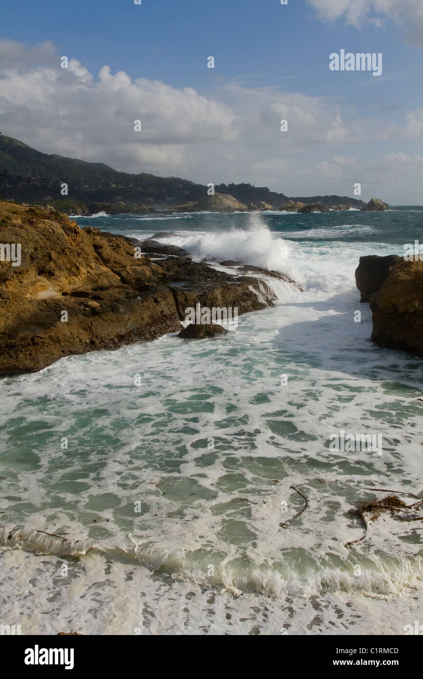 Voir à Point Lobos State Natural Réserver California USA Banque D'Images