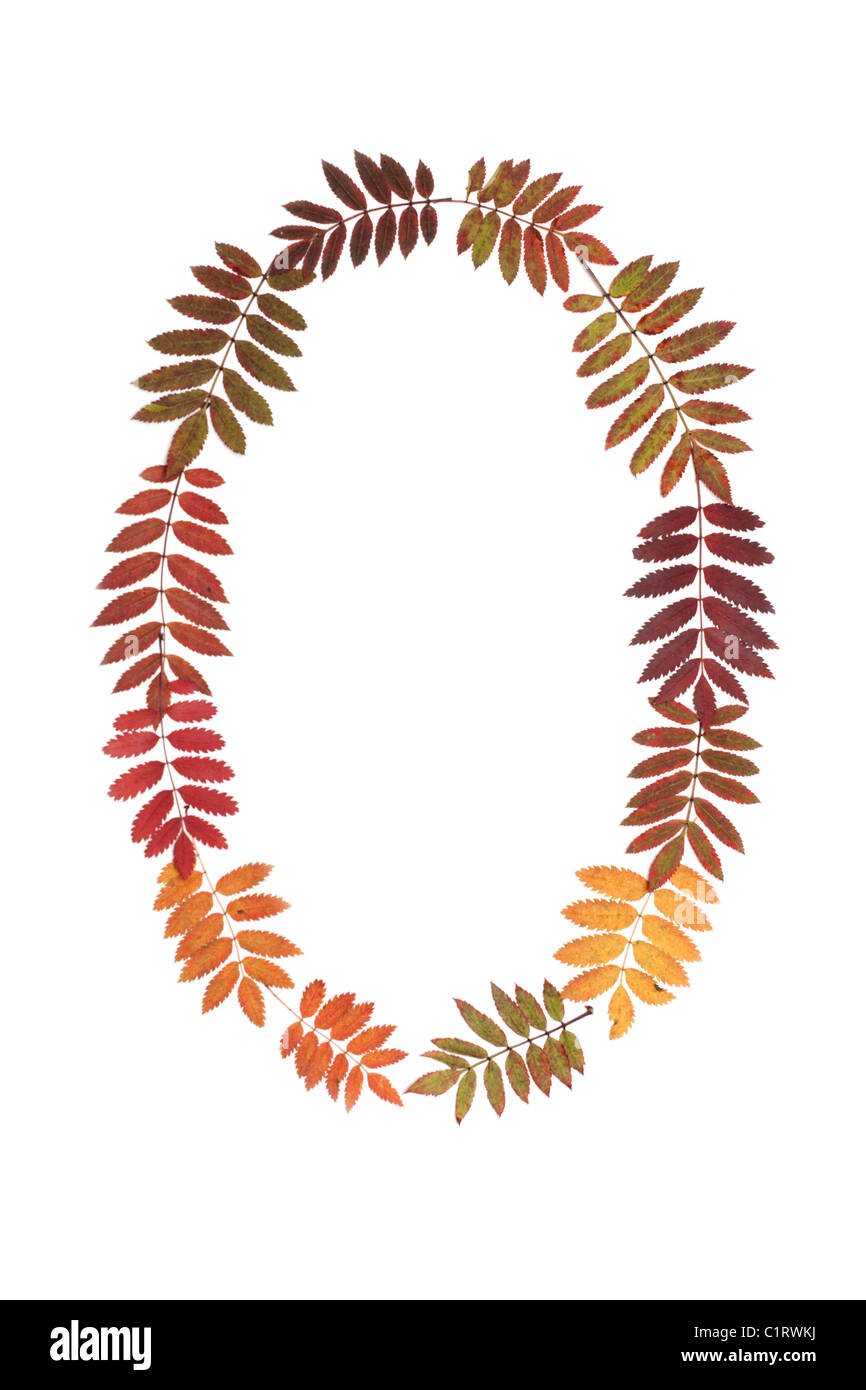 0 mettre le chiffre 0 à partir de l'automne feuille sur fond blanc Banque D'Images