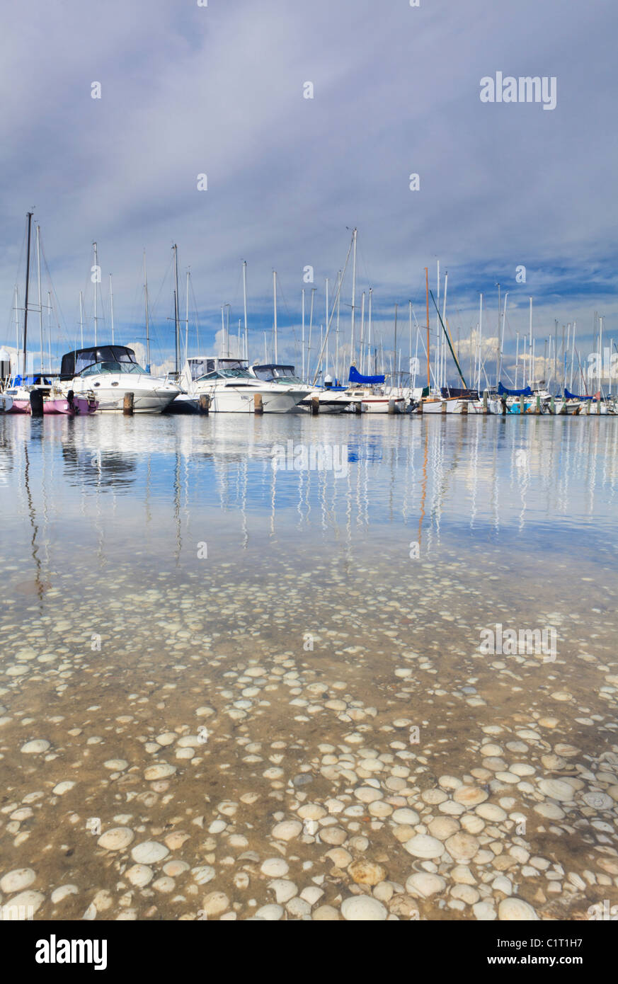 Yachts amarrés à South Perth Yacht Club avec des coquilles à l'avant-plan. Banque D'Images