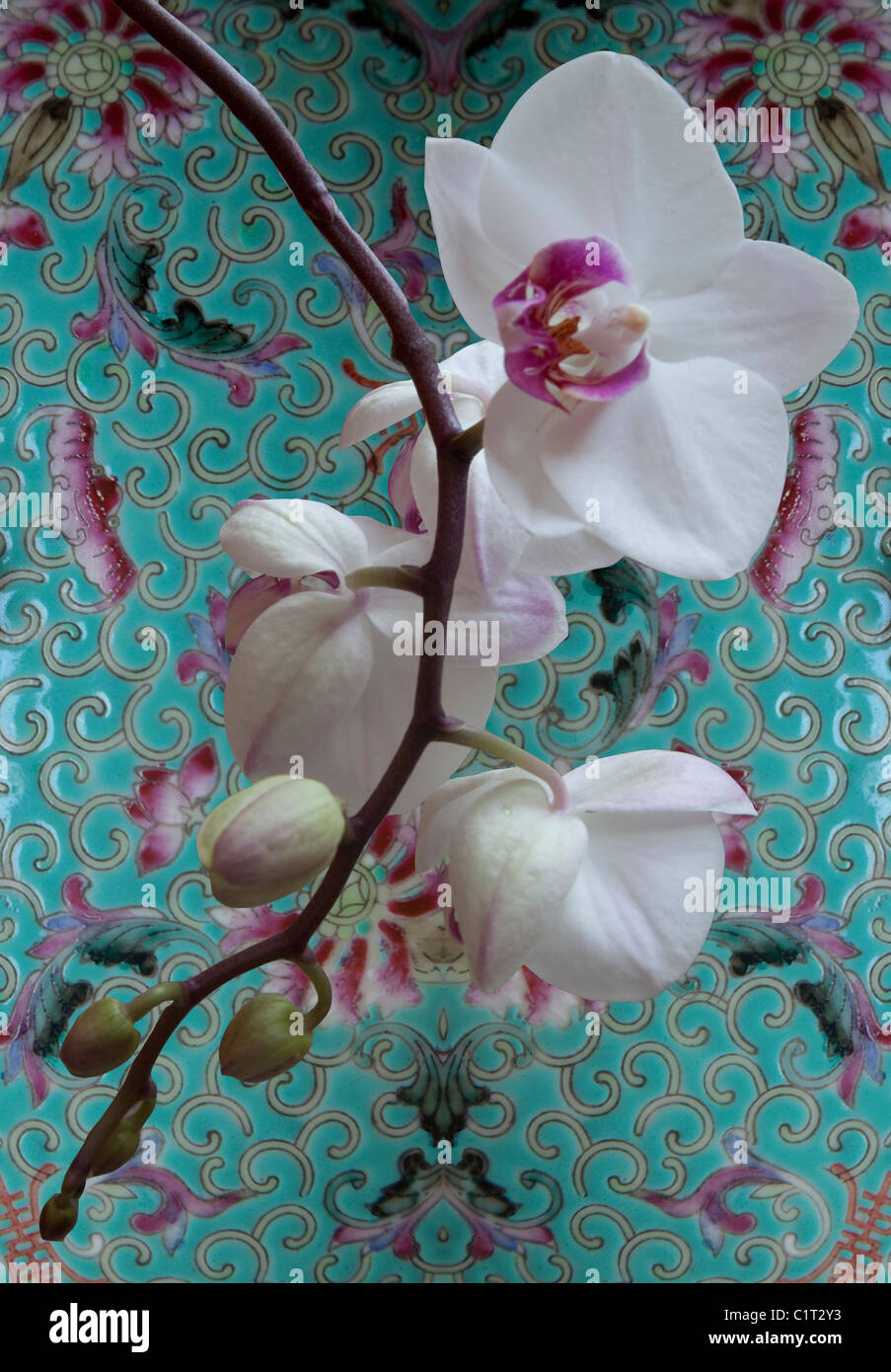 Orchid sur fond d'une plaque japonaise Banque D'Images