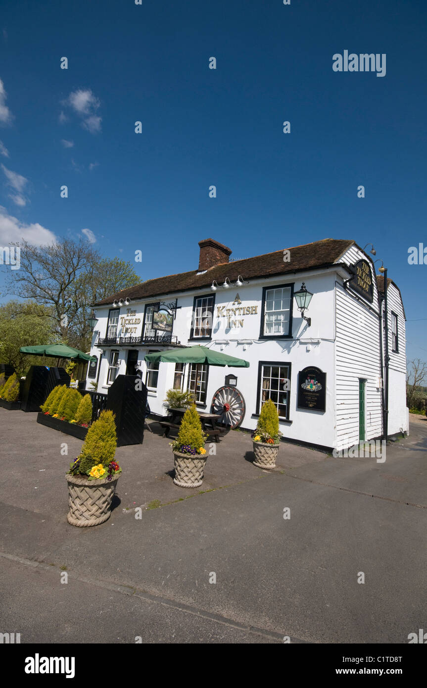La truite suintaient pub sur la rivière stour au Village de Wye Kent England UK Banque D'Images