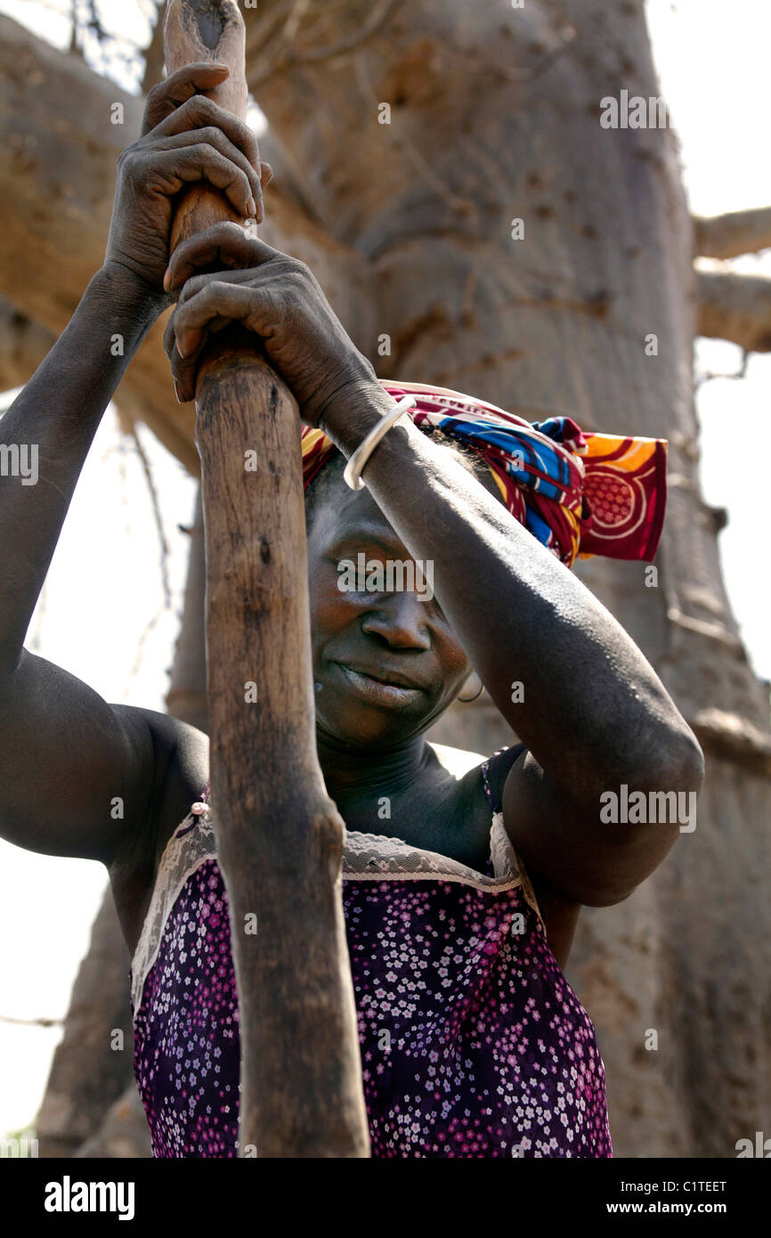 Battre le mil, sorgoum femme. Sénégal Banque D'Images