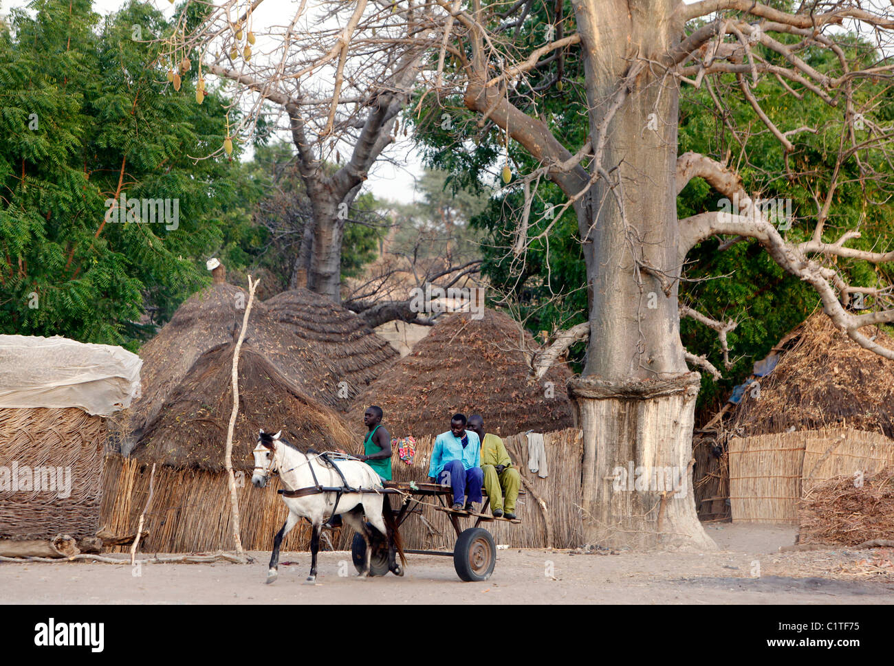 Cheval et panier dans le village de huttes circulaires de chaume Farar, Sénégal, Afrique Banque D'Images