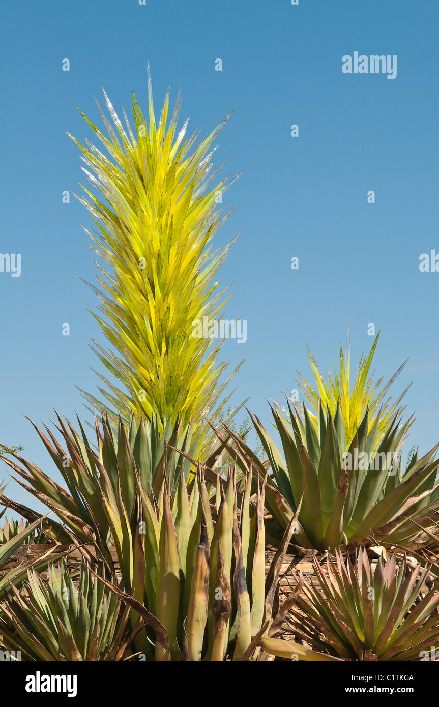 Phoenix, Arizona. Chihuly glass art cactus exposition au Jardin botanique du désert. Banque D'Images