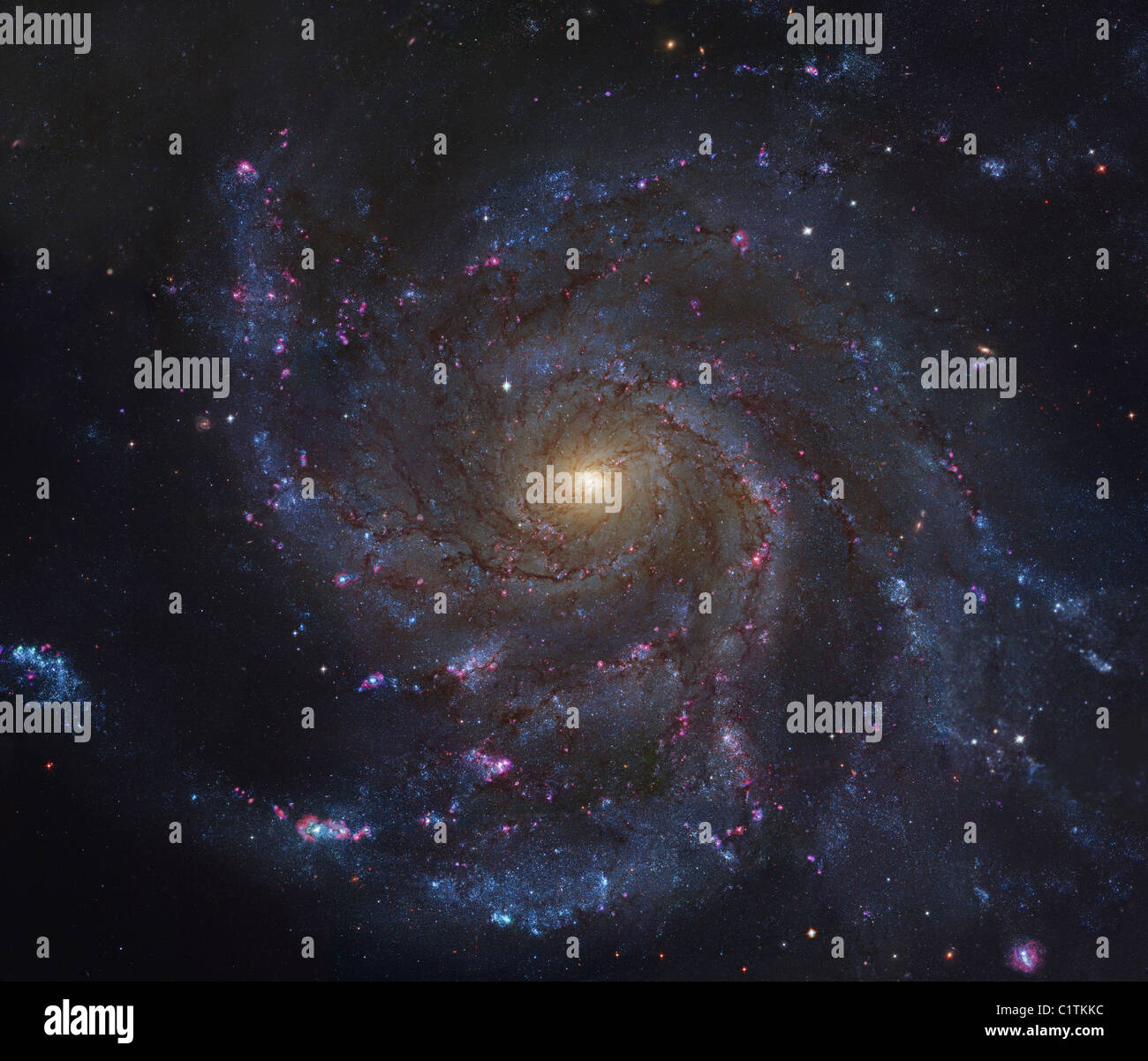 La Galaxie Pinwheel Banque D'Images