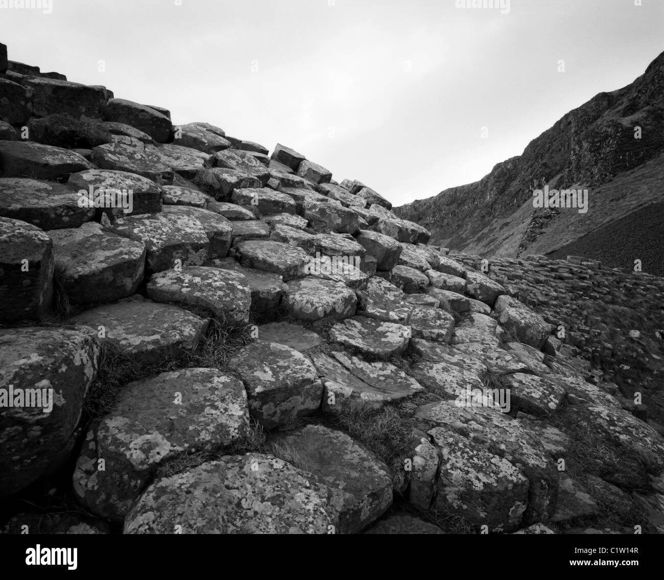 Le Giant's Causeway, l'Irlande du Nord Banque D'Images