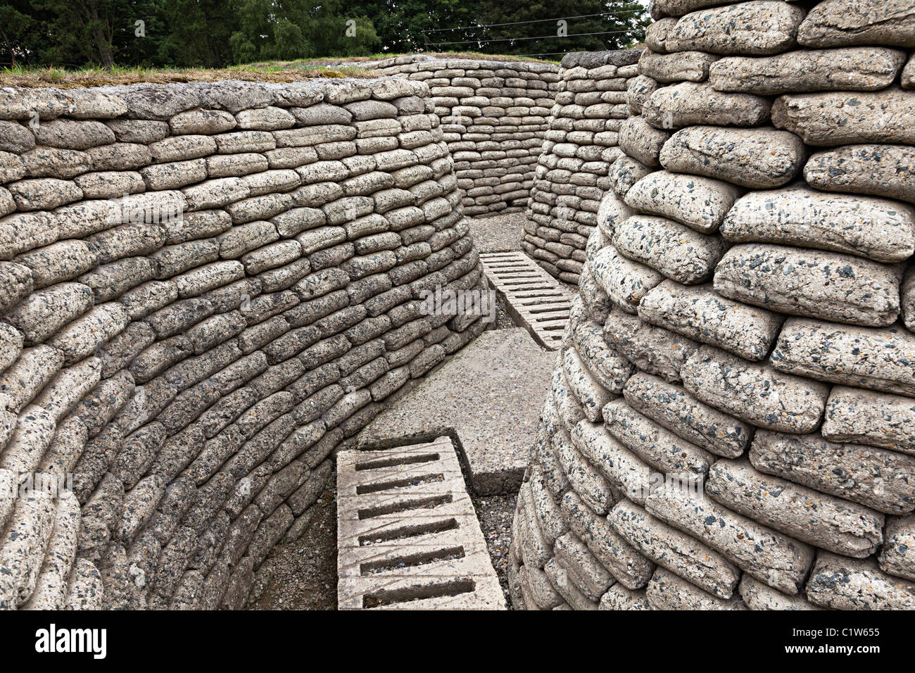 Vie des tranchées de la Première Guerre mondiale conservées sur la crête de Vimy, France Banque D'Images