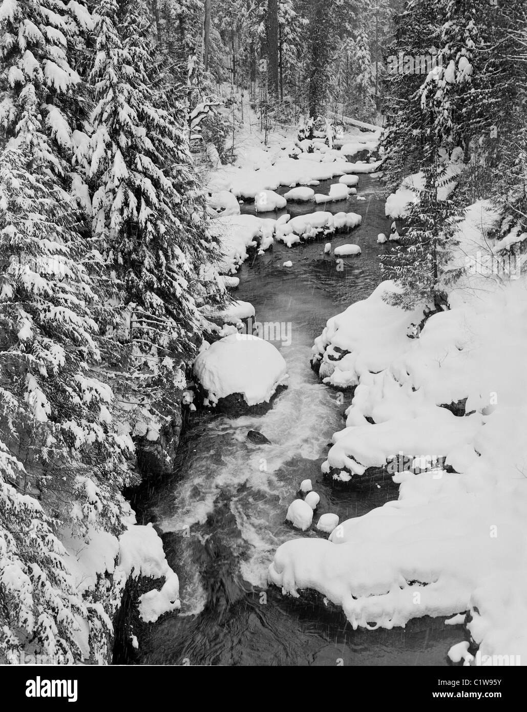 Des Cascades, d'un ruisseau en hiver Banque D'Images