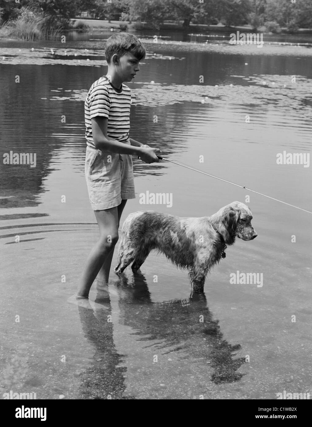 Garçon et chien la pêche dans le lac Banque D'Images