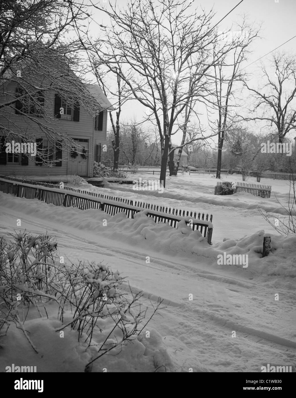 Jardin en hiver Banque D'Images